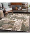 Surya Celestial shag CSG-2306 5 3 x 7  Rug