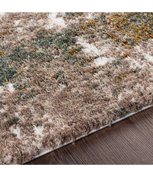 Surya Celestial shag CSG-2306 5 3 x 7  Rug