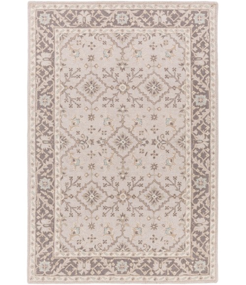 CASTILLE RUG Surya Castille CTL-2000-6x9 rug