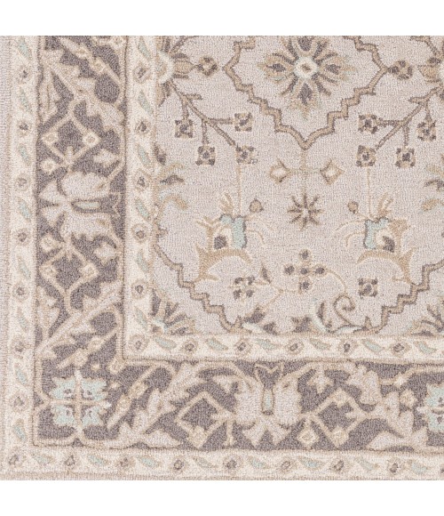 Surya Castille CTL-2000-4x6 rug