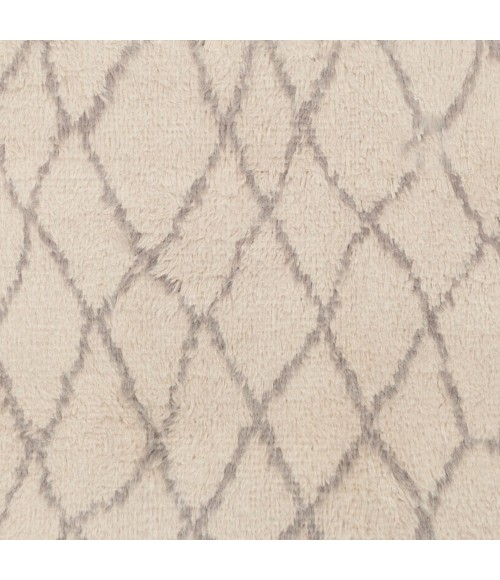 Surya Denali DEN-5004-2x3 rug