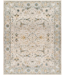 Livabliss Dresden DRE2309 Taupe Off-White Area Rug 7 ft. 10 in. X 10 ft. 3 in. Rectangle