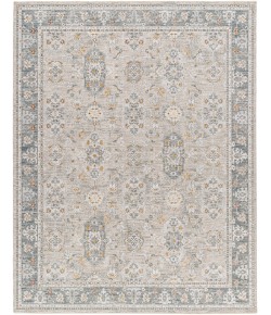 Livabliss Dresden DRE2325 Taupe Light Grey Area Rug 2 ft. 7 in. X 10 ft. Runner