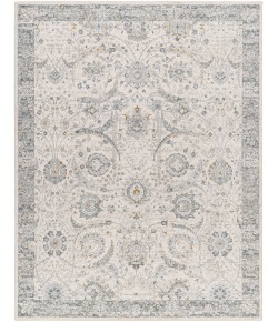 Livabliss Dresden DRE2326 Light Grey Taupe Area Rug 7 ft. 10 in. X 10 ft. 3 in. Rectangle