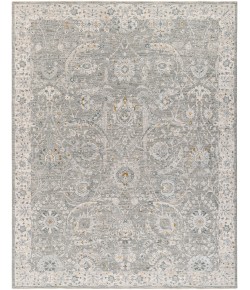 Livabliss Dresden DRE2327 Light Grey Taupe Area Rug 7 ft. 10 in. X 10 ft. 3 in. Rectangle
