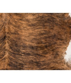 Surya Duke DUK1000 Camel Black Area Rug 5 ft. X 5 ft. 
