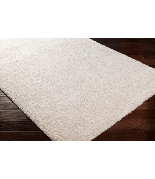 DELUXE SHAG RUG Surya Deluxe Shag DXS-2301 Area Rug