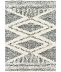 DELUXE SHAG RUG Livabliss Deluxe Shag DXS-2309 6 7 x 9 Rug