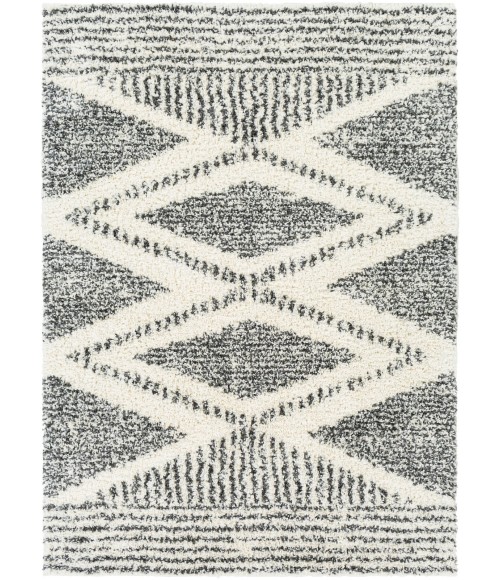 DELUXE SHAG RUG Livabliss Deluxe Shag DXS-2309 6 7 x 9 Rug
