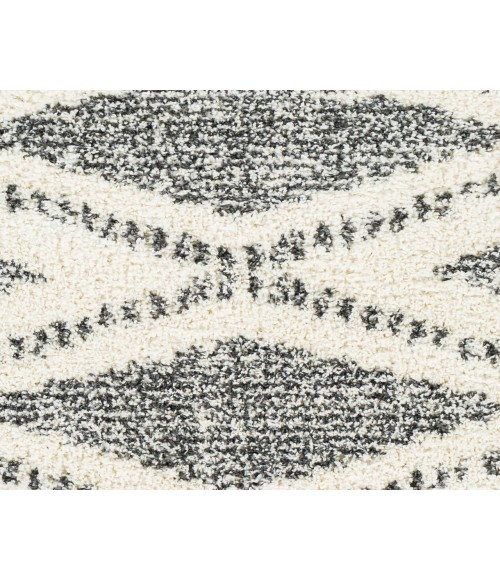 DELUXE SHAG RUG Livabliss Deluxe Shag DXS-2309 6 7 x 9 Rug
