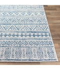 Livabliss Eagean EAG-2335 Area Rug