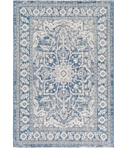 Surya Eagean EAG2336 Navy Denim Area Rug 8 ft. 10 in. X 12 ft. Rectangle