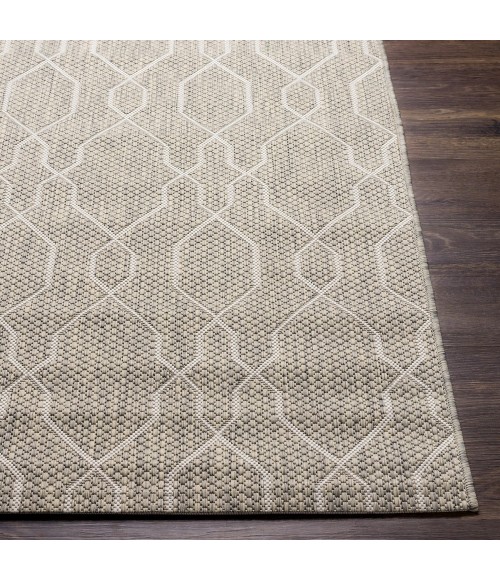 Surya Eagean EAG-2385 5'3" x 7'7" Rug