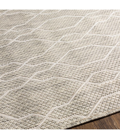 Surya Eagean EAG-2385 5'3" x 7'7" Rug