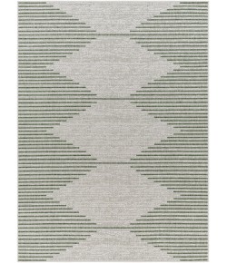 Surya Eagean EAG2432 Taupe Light Grey Area Rug 4 ft. 3 in. X 5 ft. 11 in. Rectangle