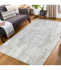 Surya Eloquent ELQ2300 Light Gray Medium Gray Area Rug 12 ft. X 15 ft. Rectangle