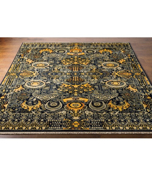 EMPRESS RUG Surya Empress EMS-7000-8x11 rug