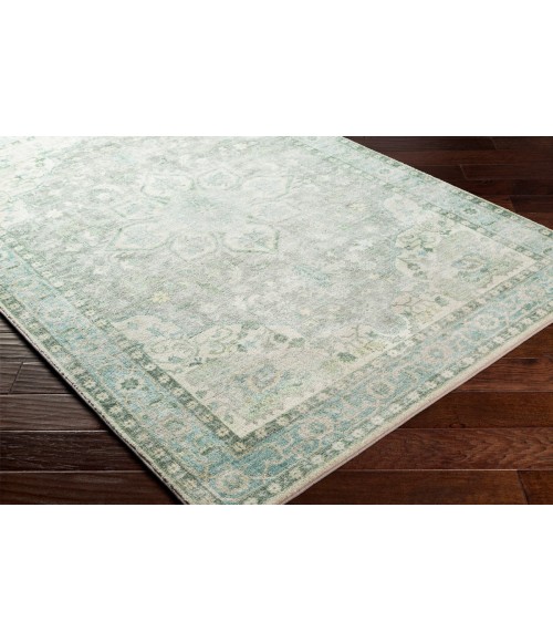Livabliss Erin ERN-2309 2  x 3  Rug