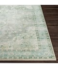Livabliss Erin ERN-2309 2  x 3  Rug