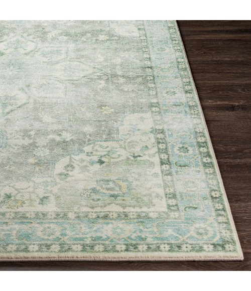 Livabliss Erin ERN-2309 2  x 3  Rug