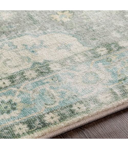 Livabliss Erin ERN-2309 2  x 3  Rug