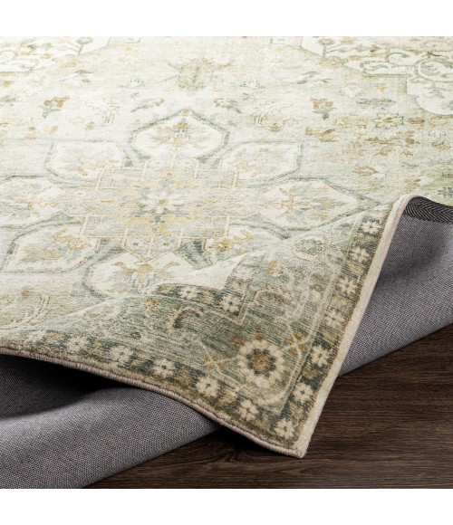 Livabliss Erin ERN-2310 7 6 x 9 6 Rug