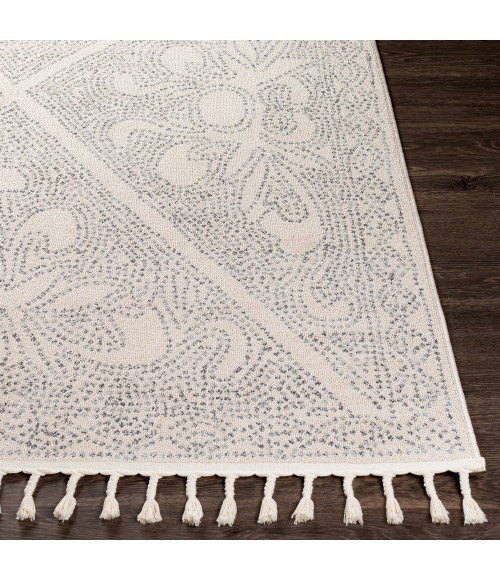 EUPHORIA RUG Surya Euphoria ERP-2308 5 3 x 7 3 Rug