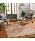 Livabliss Ez Jute Rug EZT2300