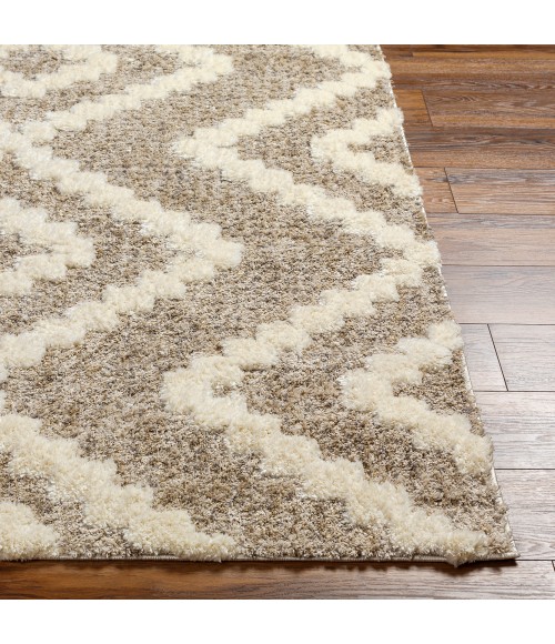 Florida Rug Livabliss Florida Rug FLD2303