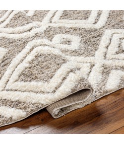 Livabliss Florida FLD2307 Taupe Light Grey Area Rug 7 ft. 10 in. X 10 ft. Rectangle