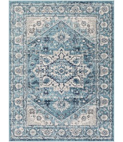 Livabliss Floransa FSA2319 Sky Blue Navy Area Rug 5 ft. 3 in. X 7 ft. 1 in. Rectangle