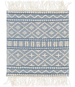 Surya Farmhouse Tassels FTS-2301 2' x 3' Rectangle Rug