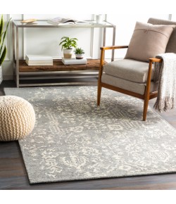 Surya Granada GND2312 Medium Gray Beige Area Rug 4 ft. X 6 ft. Rectangle