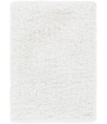 Surya Grizzly GRIZZLY-9-2x3 rug