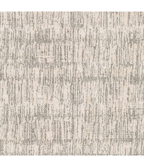 Surya Gavic GVC-2309 5 3 x 7 3 Rug