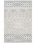 GREENWICH RUG Surya Greenwich GWC-2318 Area Rug