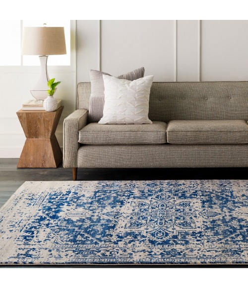 Livabliss Harput HAP-1021 12  x 18  Rug