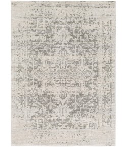 Livabliss Harput HAP1024 Charcoal Light Gray Area Rug 3 ft. 11 in. X 5 ft. 7 in. Rectangle