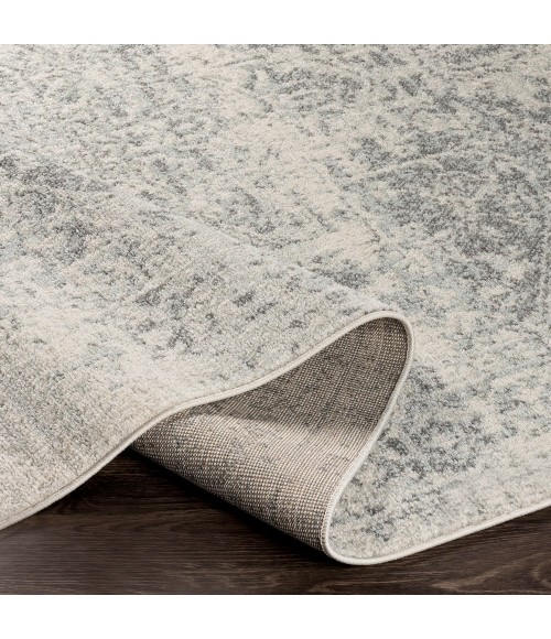 Livabliss Harput HAP-1024-2x3 rug