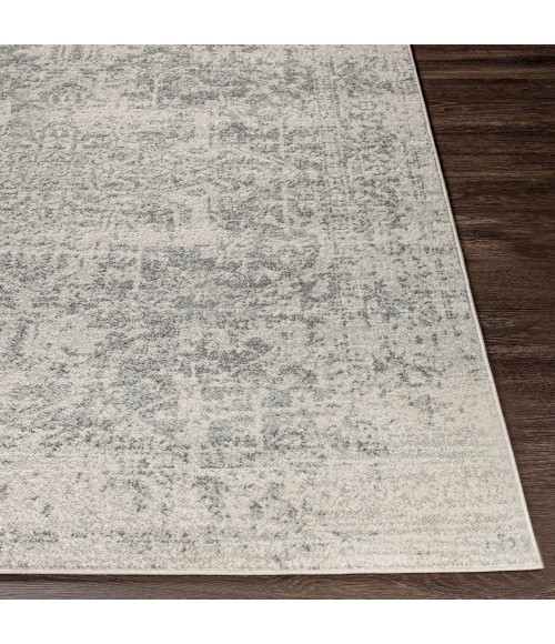 Livabliss Harput HAP-1024-2x3 rug
