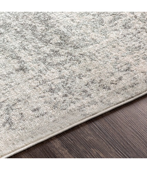 Livabliss Harput HAP-1024-2x3 rug