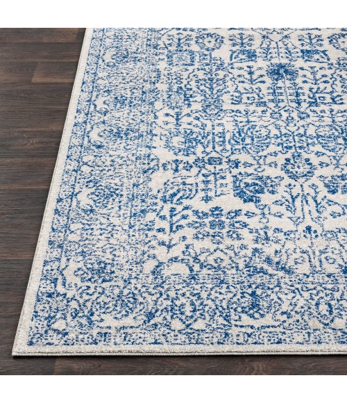 Surya Harput HAP-1030-2x3 rug