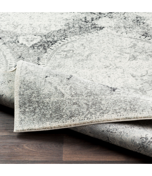HARPUT RUG Surya Harput HAP-1041-2773