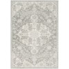 Livabliss Harput HAP1071 Black Light Gray Area Rug 5 ft. 3 in. X 7 ft. 3 in. Rectangle