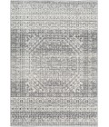 HARPUT RUG Surya Harput HAP-1080-31157
