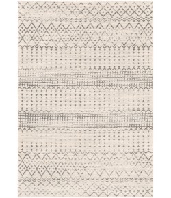 Livabliss Harput HAP1097 Charcoal Light Gray Area Rug 2 ft. X 3 ft. Rectangle