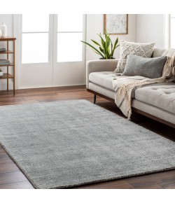 Surya Helen HLE2305 Light Slate Gray Area Rug 2 ft. X 3 ft. Rectangle