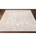 Surya Hightower HTW-3003-2x3 rug