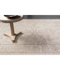 Surya Hightower HTW-3003-2x3 rug