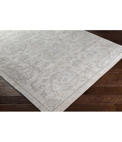 Surya Hightower HTW-3004-4x6 rug